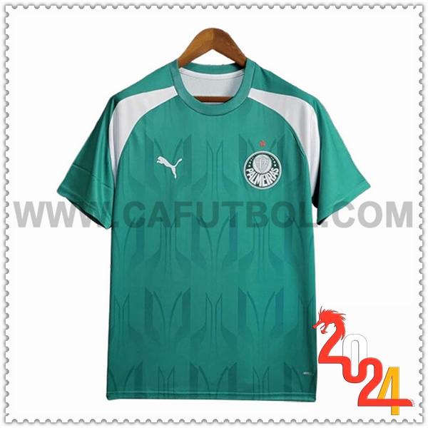 Camiseta Entrenamiento Palmeiras Verde/Blanco 2024 2025