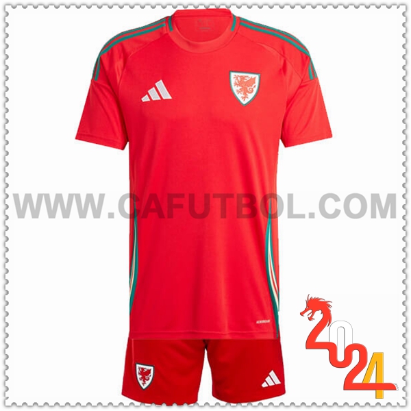 Primera Equipacion del Gales Ninos Rojo Eurocopa 2024