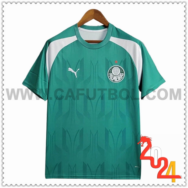 Camiseta Entrenamiento Palmeiras Verde/Blanco 2024 2025