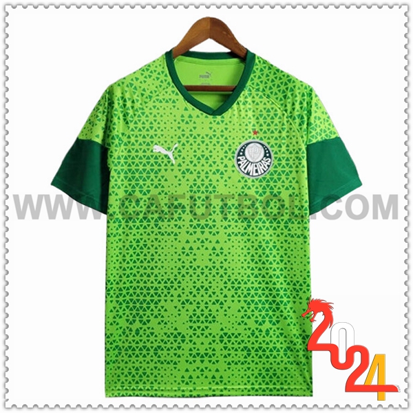 Camiseta Entrenamiento Palmeiras Verde 2024 2025