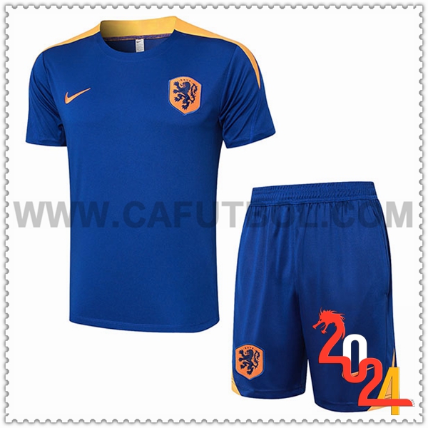 Camiseta Entrenamiento + Cortos Países Bajos Azul/Amarillo 2024 2025