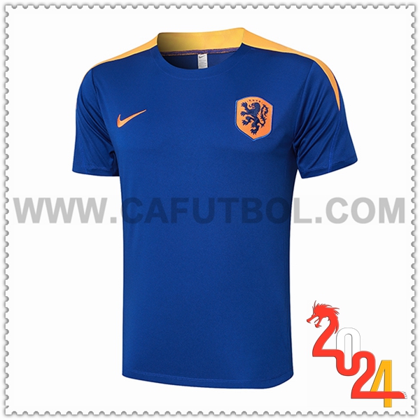 Camiseta Entrenamiento Países Bajos Azul/Amarillo 2024 2025