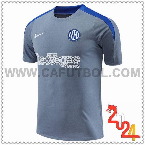 Camiseta Entrenamiento Inter Milan Gris/Azul 2024 2025