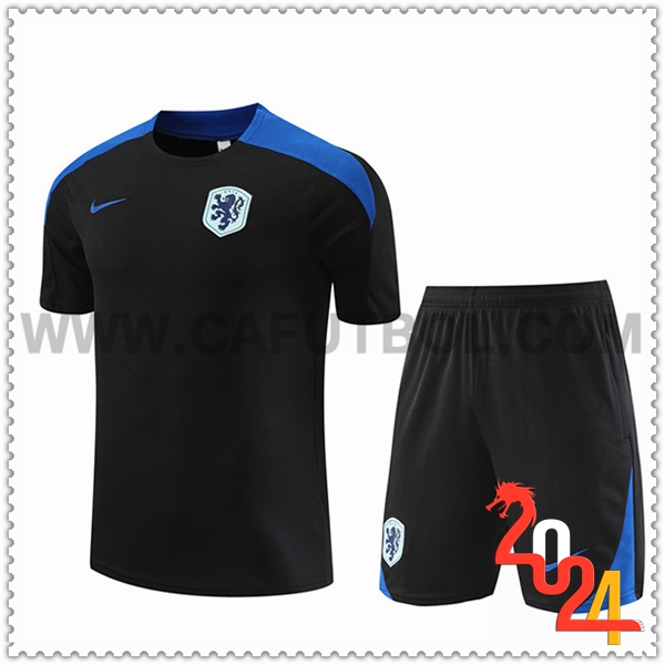 Camiseta Entrenamiento Países Bajos Negro/Azul 2024 2025