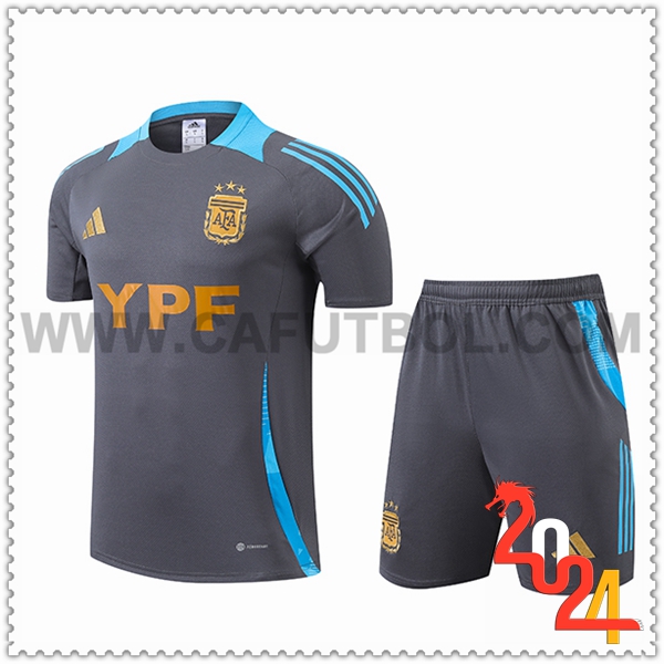Camiseta Entrenamiento Argentina Gris/Azul 2024 2025