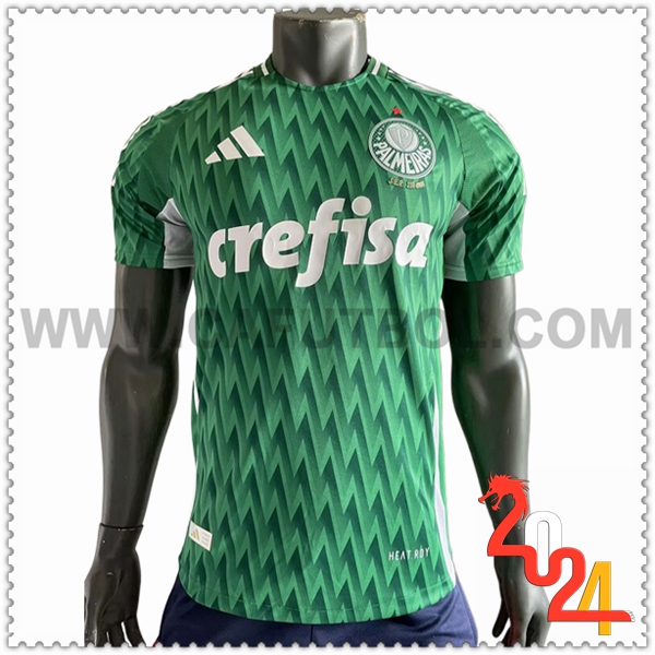 Camiseta Futbol Palmeiras Verde Edicion especial 2024 2025