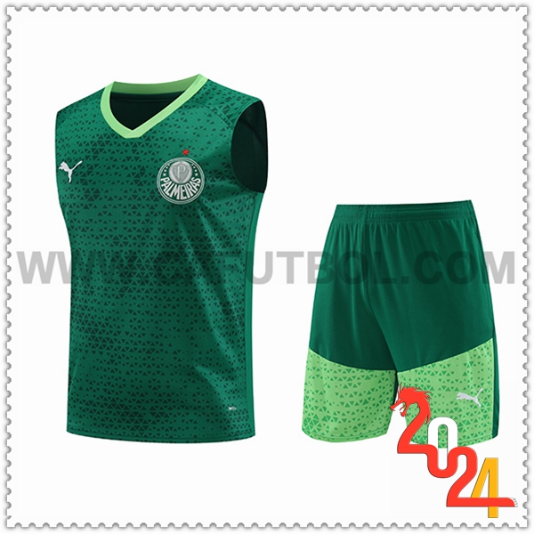 Camiseta Entrenamiento sin mangas Palmeiras Verde 2024 2025