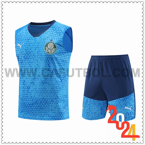 Camiseta Entrenamiento sin mangas Palmeiras Azul 2024 2025