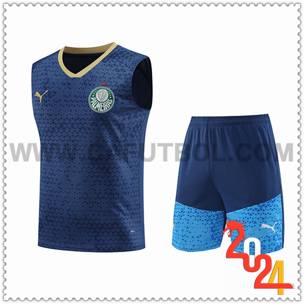 Camiseta Entrenamiento sin mangas Palmeiras Azul marino 2024 2025