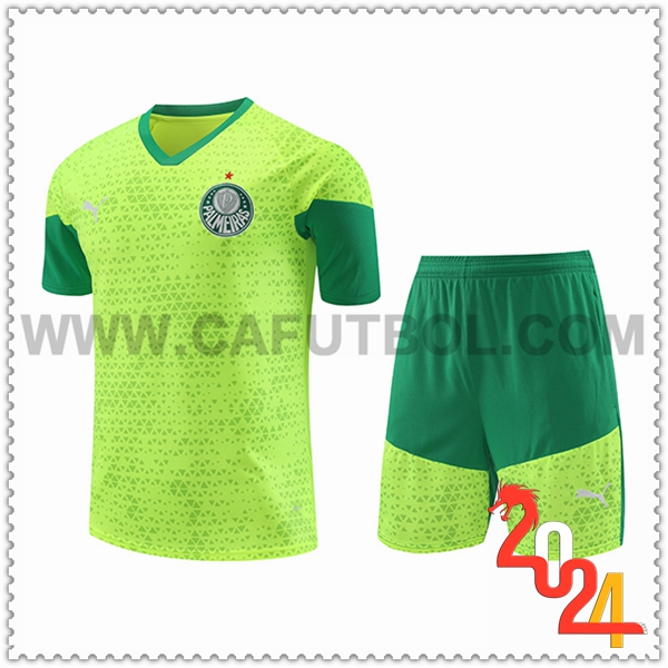 Camiseta Entrenamiento Palmeiras Verde/Amarillo 2024 2025