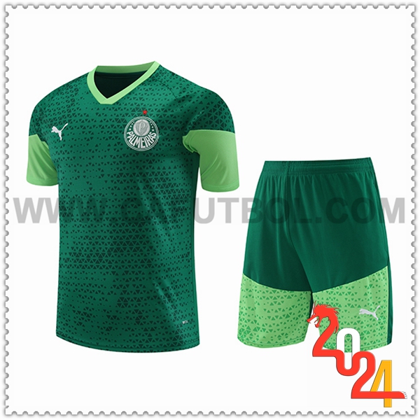Camiseta Entrenamiento Palmeiras Verde 2024 2025 -03