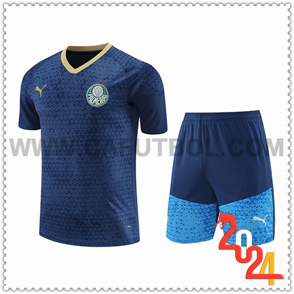 Camiseta Entrenamiento Palmeiras Azul marino 2024 2025
