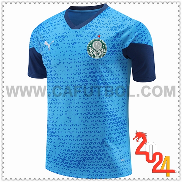 Camiseta Entrenamiento Palmeiras Azul 2024 2025