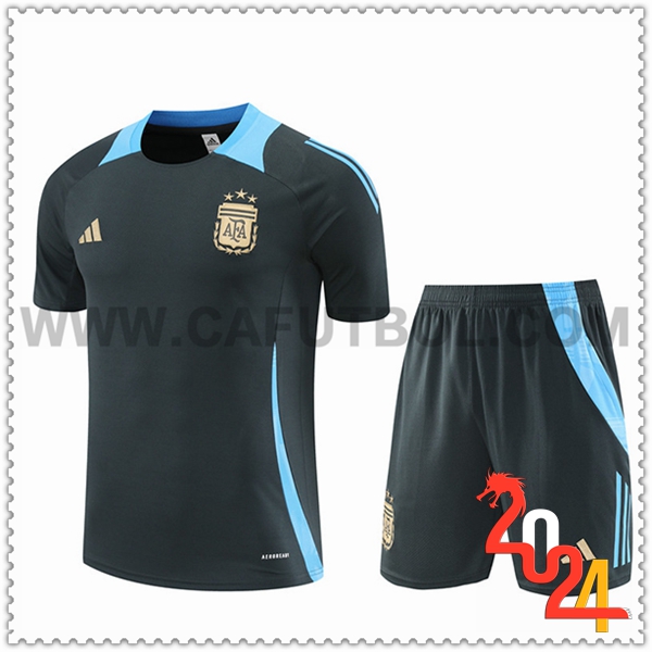 Camiseta Entrenamiento Argentina Gris/Azul 2024 2025 -02