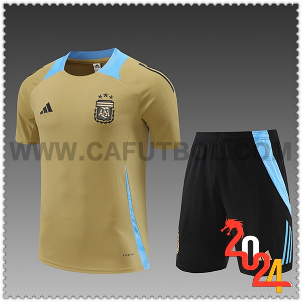 Camiseta Entrenamiento Argentina Ninos Amarillo/Azul 2024 2025