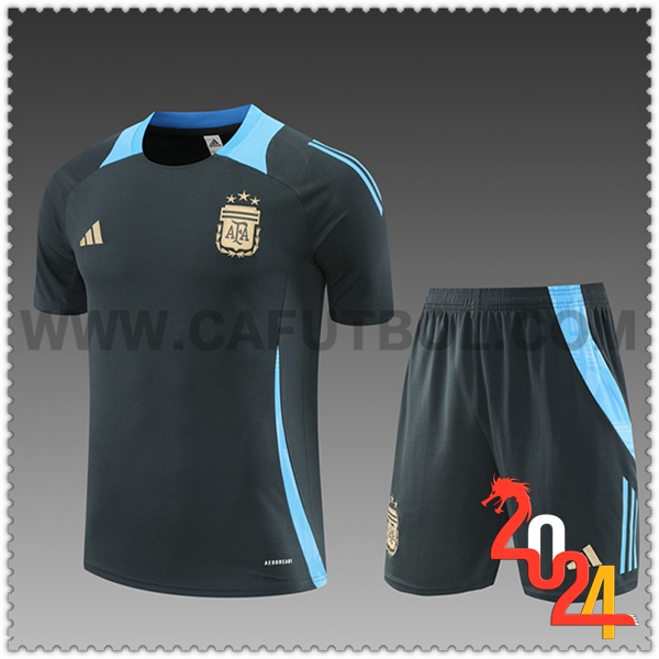 Camiseta Entrenamiento Argentina Ninos Gris/Azul 2024 2025