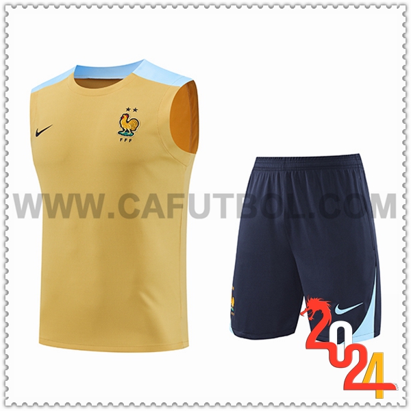 Camiseta Entrenamiento sin mangas Francia Amarillo/Azul 2024 2025
