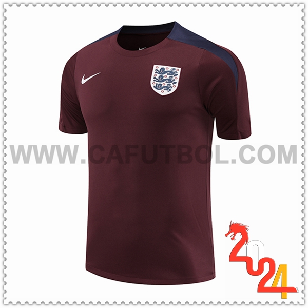 Camiseta Entrenamiento Inglaterra Rojo/Azul 2024 2025