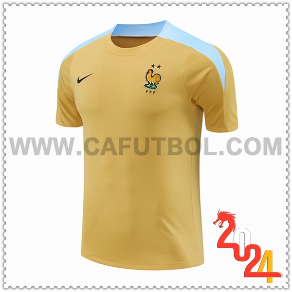 Camiseta Entrenamiento Francia Amarillo/Azul 2024 2025