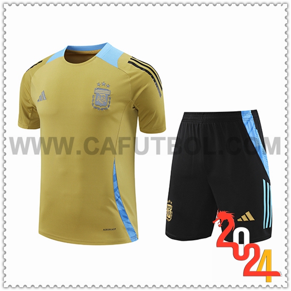 Camiseta Entrenamiento Argentina Amarillo/Azul 2024 2025