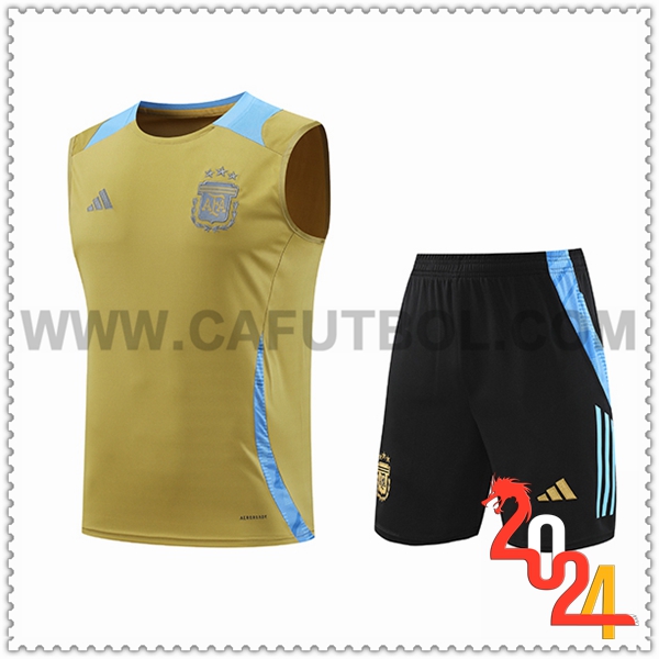 Camiseta Entrenamiento sin mangas Argentina Amarillo/Azul 2024 2025