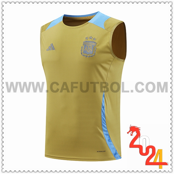 Chalecos De Futbol Argentina Amarillo/Azul 2024 2025