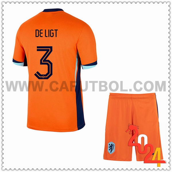 Primera Camiseta Futbol Paises Bajos DE LIGT #3 Ninos Eurocopa 2024