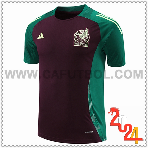 Camiseta Entrenamiento México Verde/Marrón 2024 2025