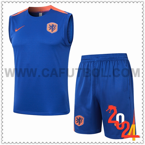 Camiseta Entrenamiento sin mangas Países Bajos Azul/Naranja 2024 2025