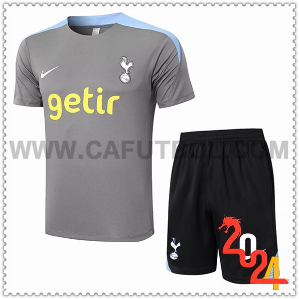 Camiseta Entrenamiento Tottenham Hotspur Gris/Azul 2024 2025