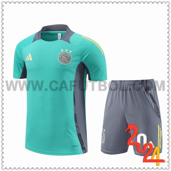 Camiseta Entrenamiento Ajax Verde/Gris 2024 2025