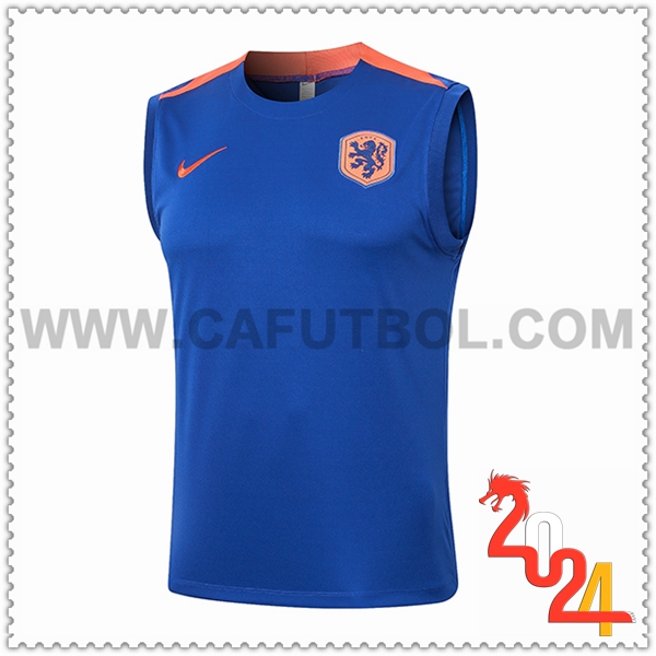 Chalecos De Futbol Países Bajos Azul/Naranja 2024 2025