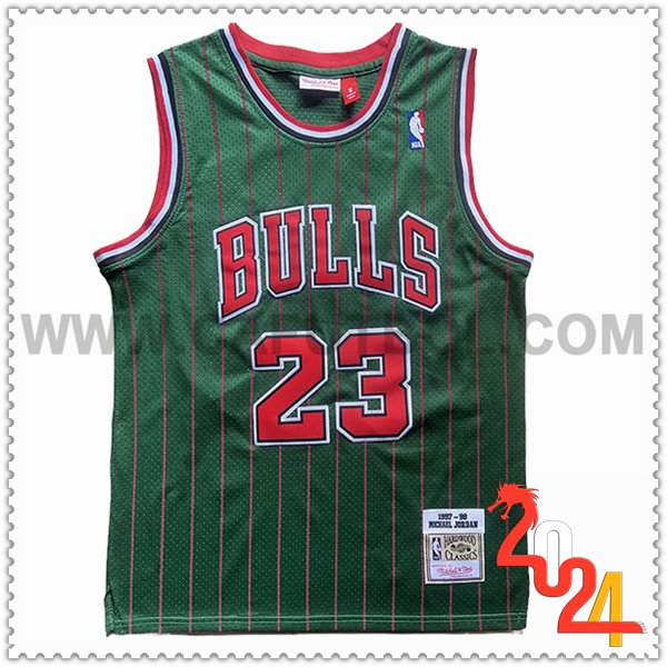 Camisetas NBA Chicago Bulls (JORDAN #23) 2024/25 Verde/Rojo