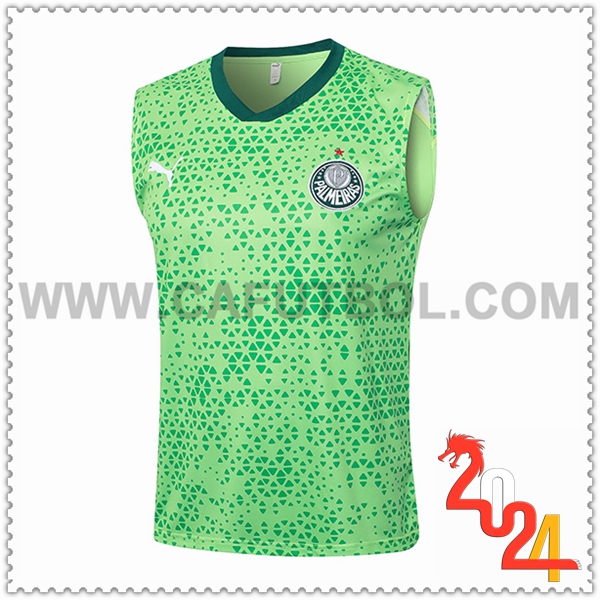 Chalecos De Futbol Palmeiras Verde 2024 2025 -03