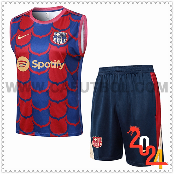 Camiseta Entrenamiento sin mangas FC Barcelona Rojo/Azul 2024 2025