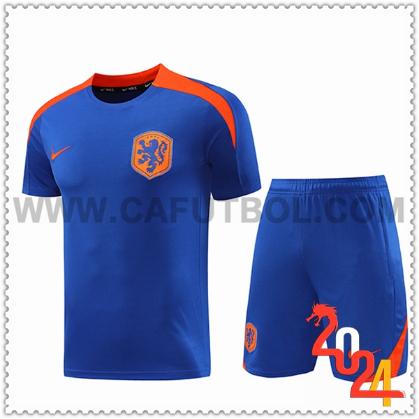 Camiseta Entrenamiento Países Bajos Azul/Naranja 2024 2025