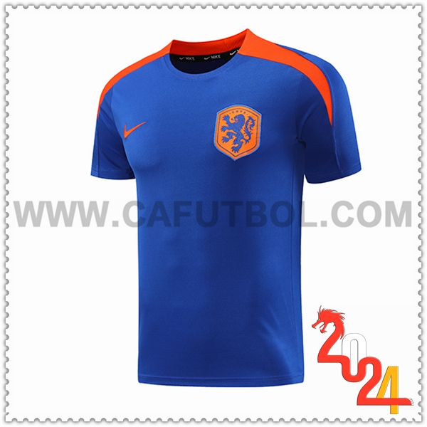 Camiseta Entrenamiento Países Bajos Azul/Naranja 2024 2025