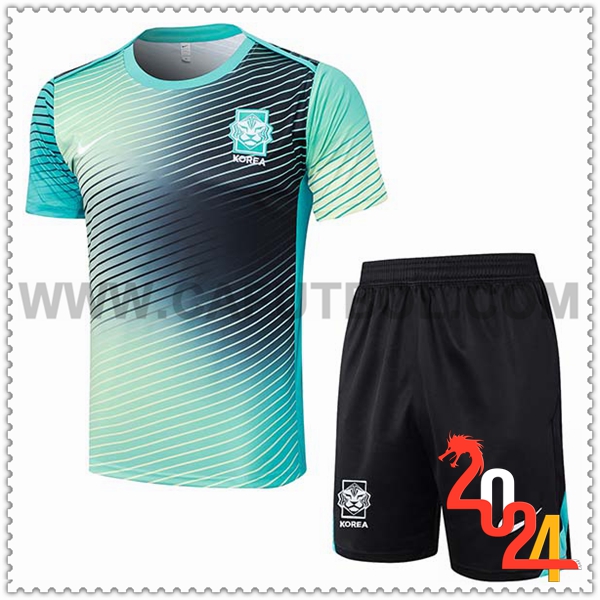 Camiseta Entrenamiento Corée Du Sud Verde/ 2024 2025