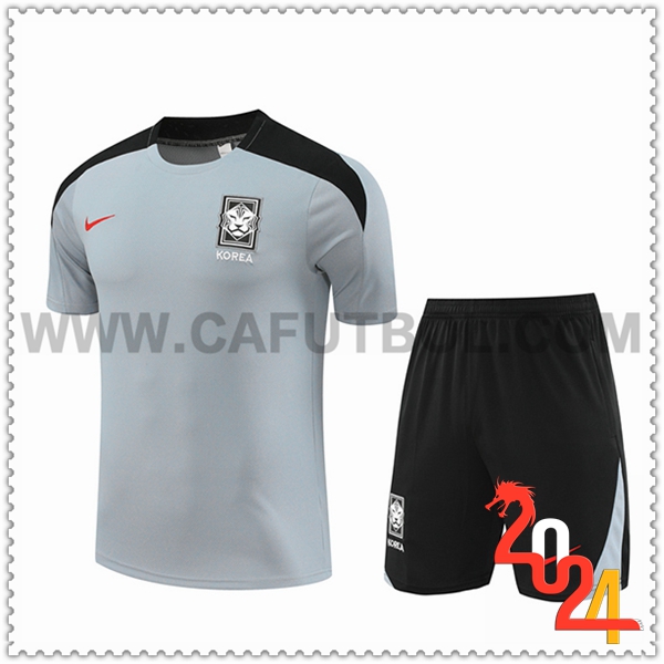 Camiseta Entrenamiento Corée Du Sud Gris/Negro 2024 2025