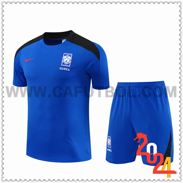 Camiseta Entrenamiento Corée Du Sud Azul/Negro 2024 2025