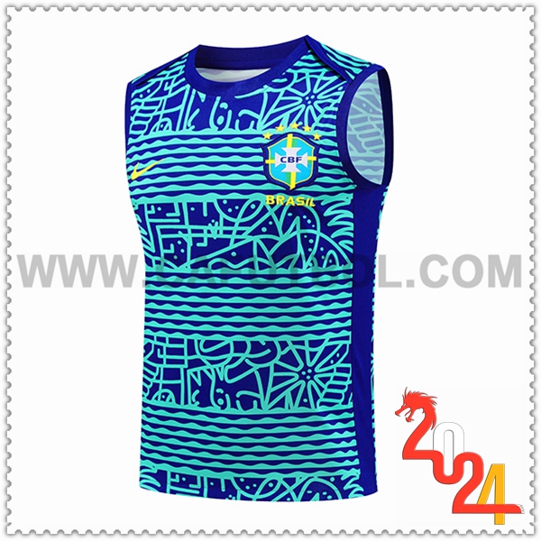 Chalecos De Futbol Brasil Azul/Verde 2024 2025