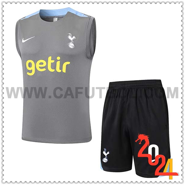 Camiseta Entrenamiento sin mangas Tottenham Hotspur Gris/Azul 2024 2025