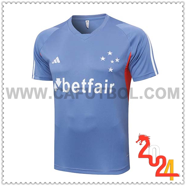 Camiseta Entrenamiento Cruzeiro Gris/Naranja 2024 2025