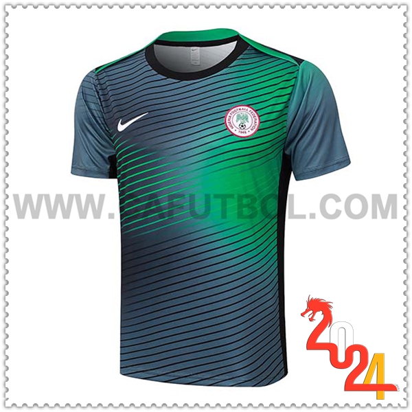 Camiseta Entrenamiento Nigeria Negro/Verde 2024 2025