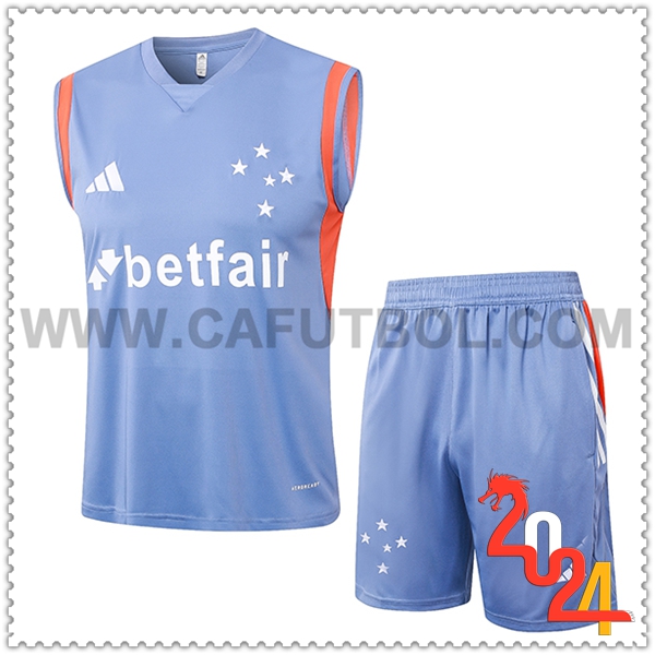 Camiseta Entrenamiento sin mangas Cruzeiro Gris/Naranja 2024 2025