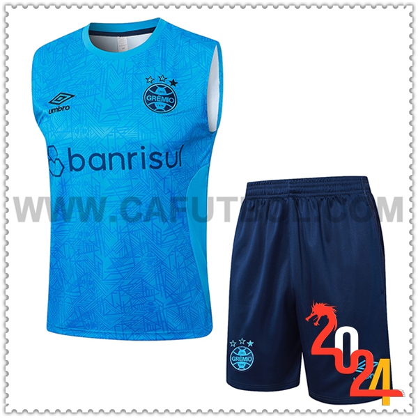 Camiseta Entrenamiento sin mangas Gremio Azul 2024 2025