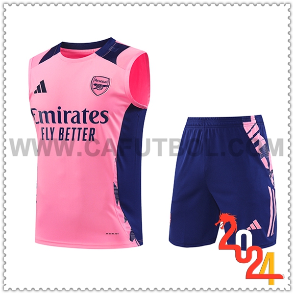 Camiseta Entrenamiento sin mangas Arsenal Rosa/Violeta 2024 2025