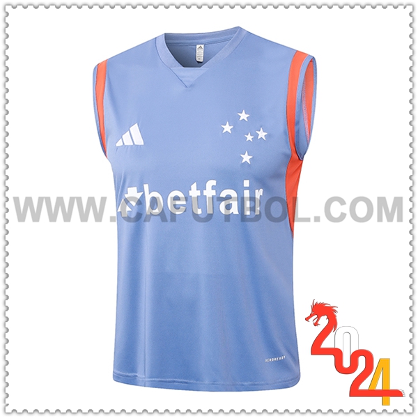 Chalecos De Futbol Cruzeiro Gris/Naranja 2024 2025