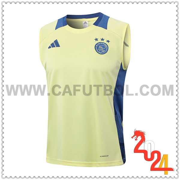 Chalecos De Futbol Ajax Amarillo/Azul 2024 2025