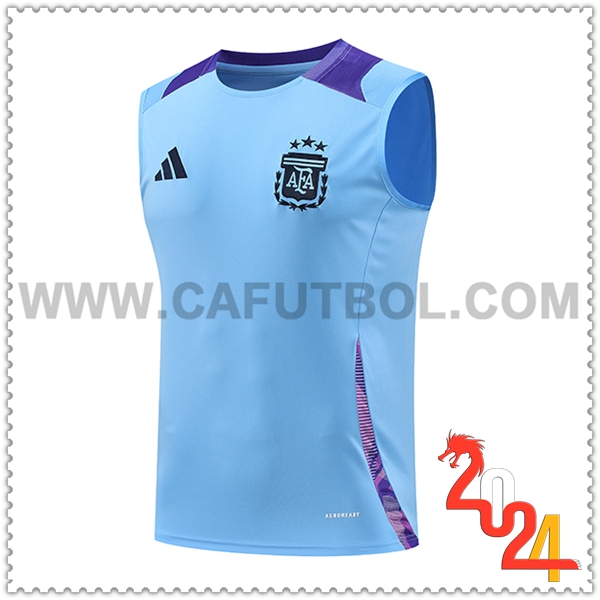 Chalecos De Futbol Argentina Azul/Violeta 2024 2025